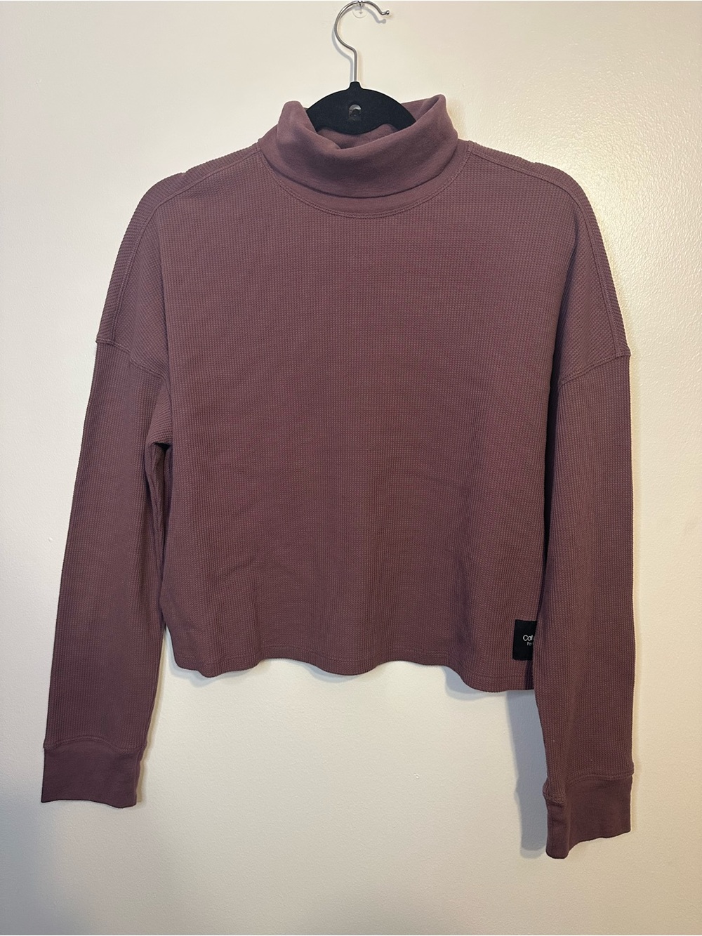Cozy Mauve Turtleneck Long-Sleeve Crop Top